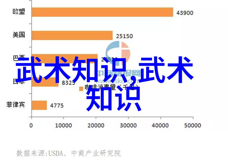 武术活动名称大全拳影飘渺剑光穿梭