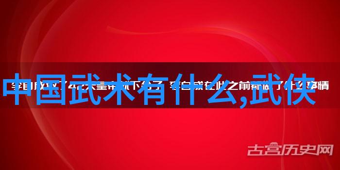 武术自学-掌握武艺适合自学的武术入门指南