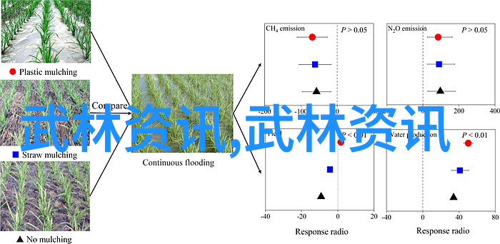 古代神功绝技-揭秘江湖传说中的九阳真经