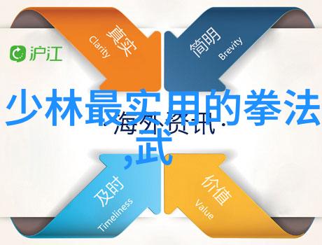 全国武术门派之鹰爪翻子拳犹如天空中自由翱翔的鹰翼与地面上的行者交织出一幅生动的武术画卷