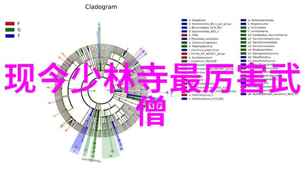 金庸武功大全三皇炮捶拳之美在人物身上展现