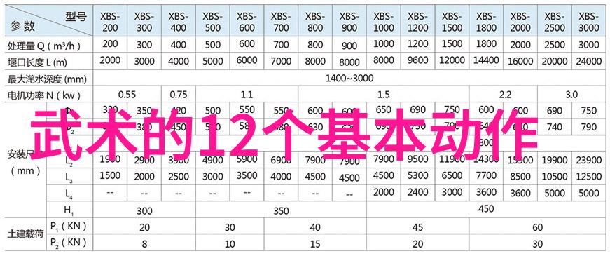 武术刚开始练什么八法拳24式在社会中的应用