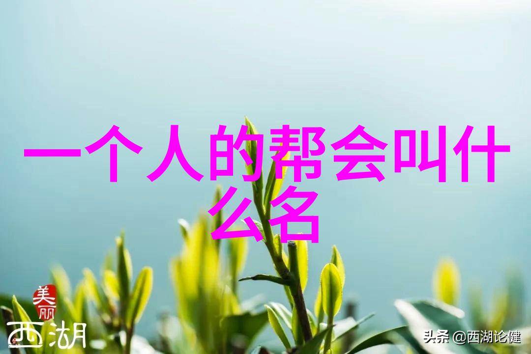 帮派霸主狂风暴雨之团