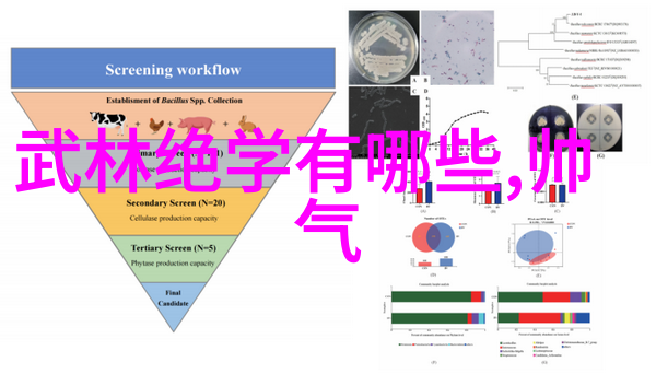 社会实践中的32式太极拳全套分解与陈自强老架动作要点