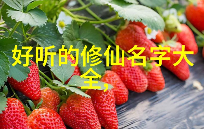 五十款夜间禁用APP粉色视频-夜幕下的秘密揭秘50款被禁的粉色视频APP