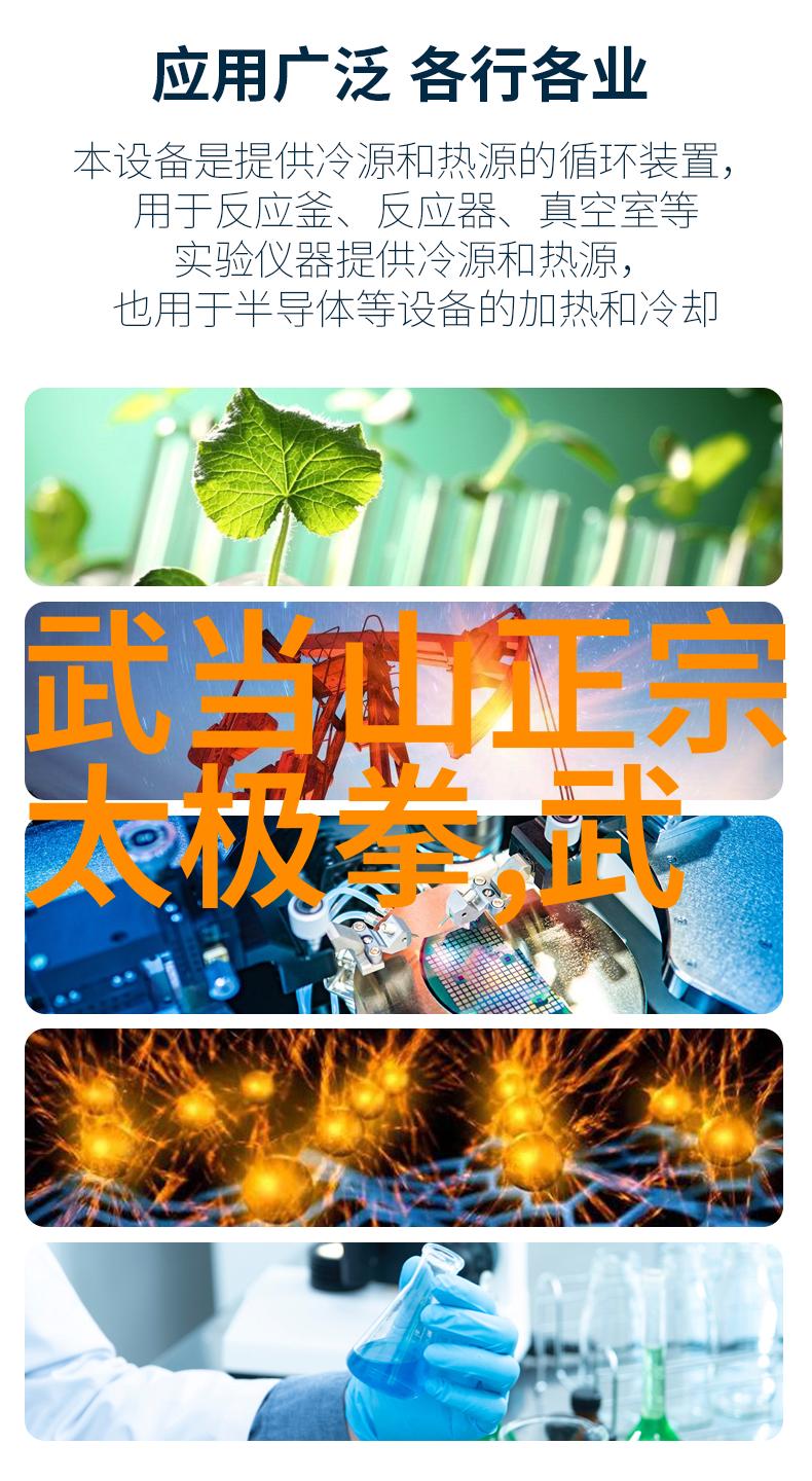 武学自修指南从零到大师的视频教程