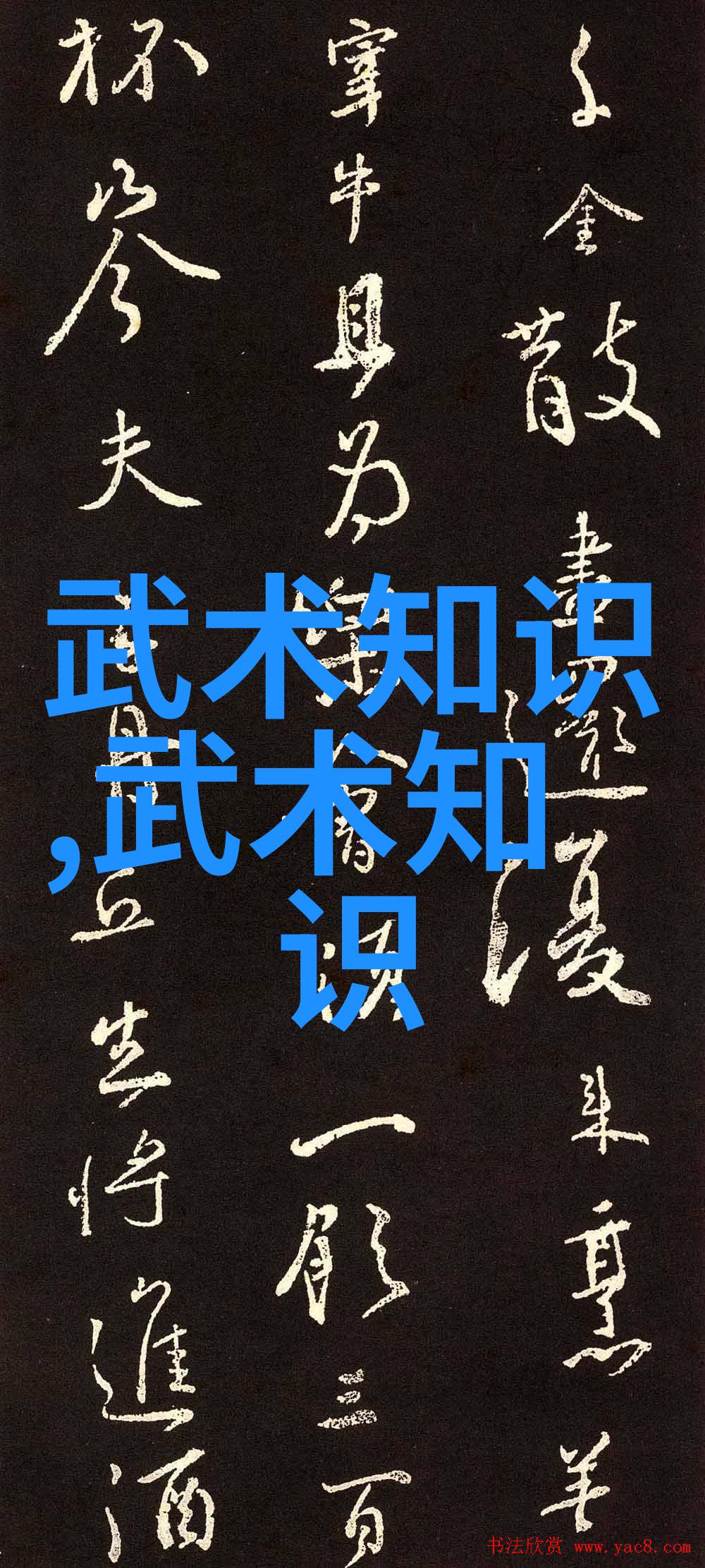 你知道吗通过这些腹部锻炼方法即使是白细胞也能感受到它的力量