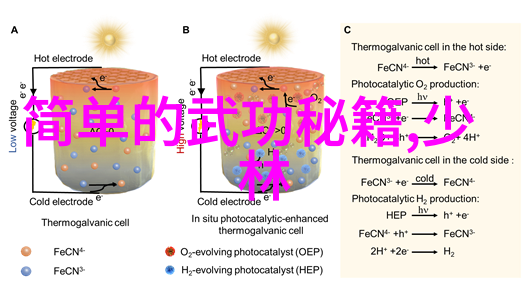 武林秘籍集粹揭秘古代武学宝典的艺术与奥义