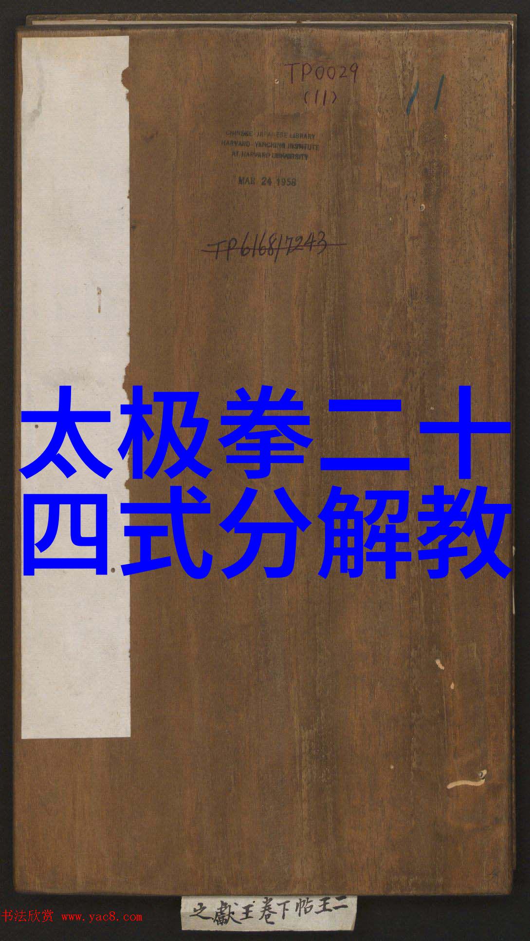 武术探秘-揭秘哪门武术最厉害古老艺术的现代挑战