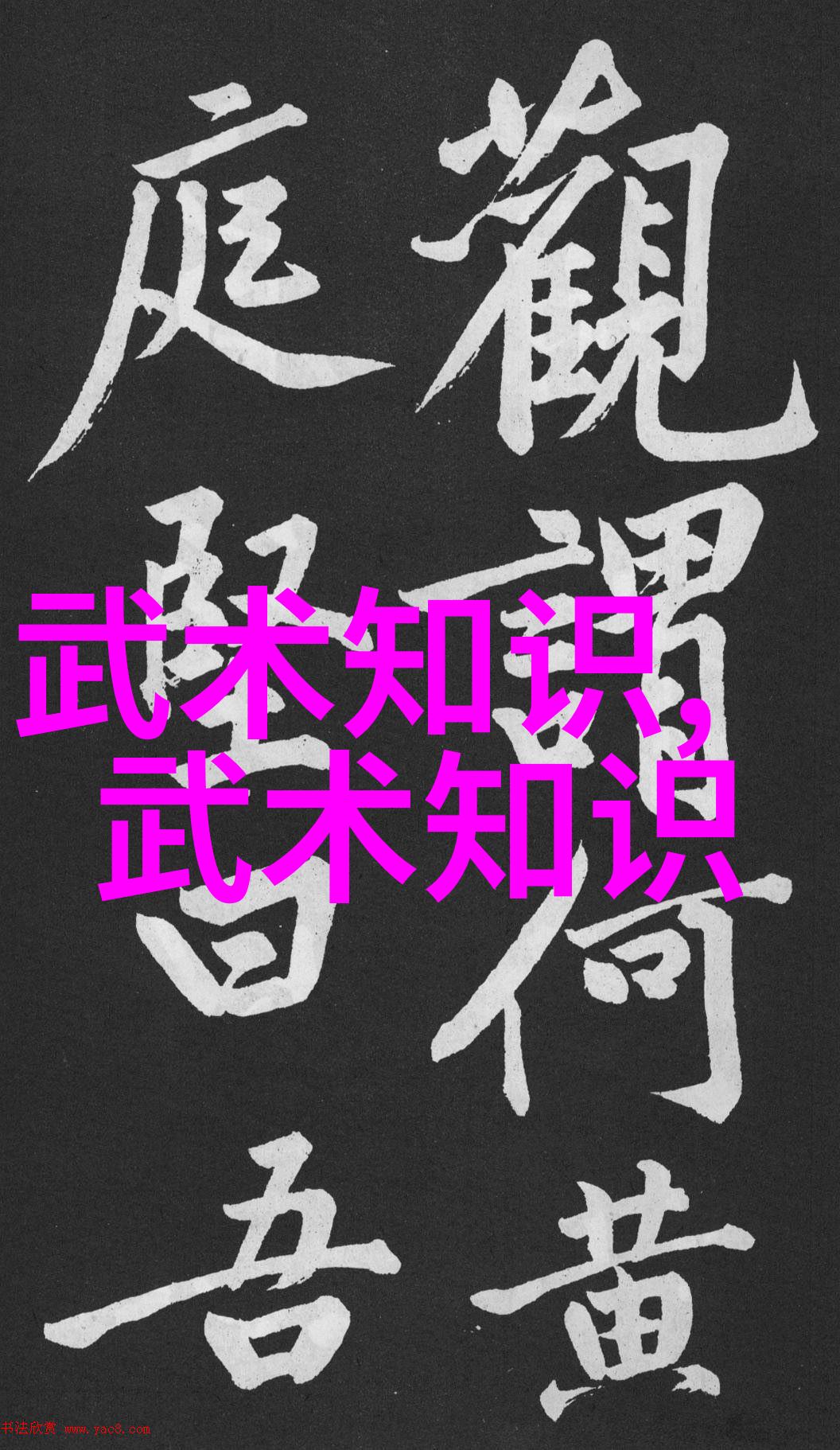 中国十大剑法中的螳螂拳三手仿佛是武林中的智者以松活劲赋予每一招致命的灵动