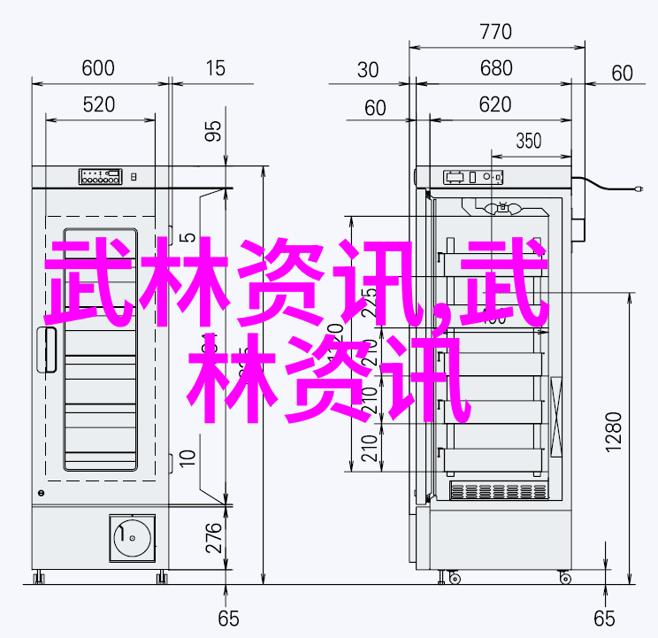 武林秘籍龙虎山派的传说与实力