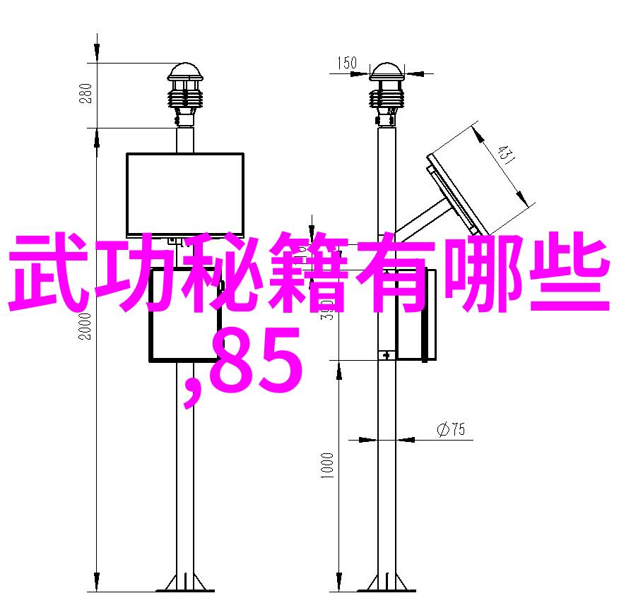 武学秘笈练就一身功夫的艺术之道