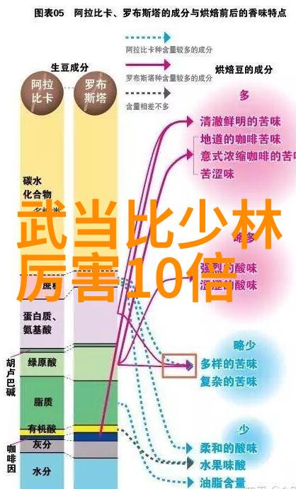 太极拳内劲之旅初学者的武术探索