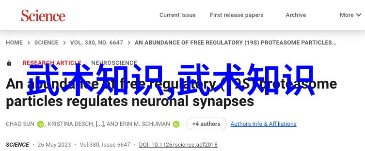 太极拳技巧解析 - 十三式太极拳分解动作探索内在力量与外在流畅