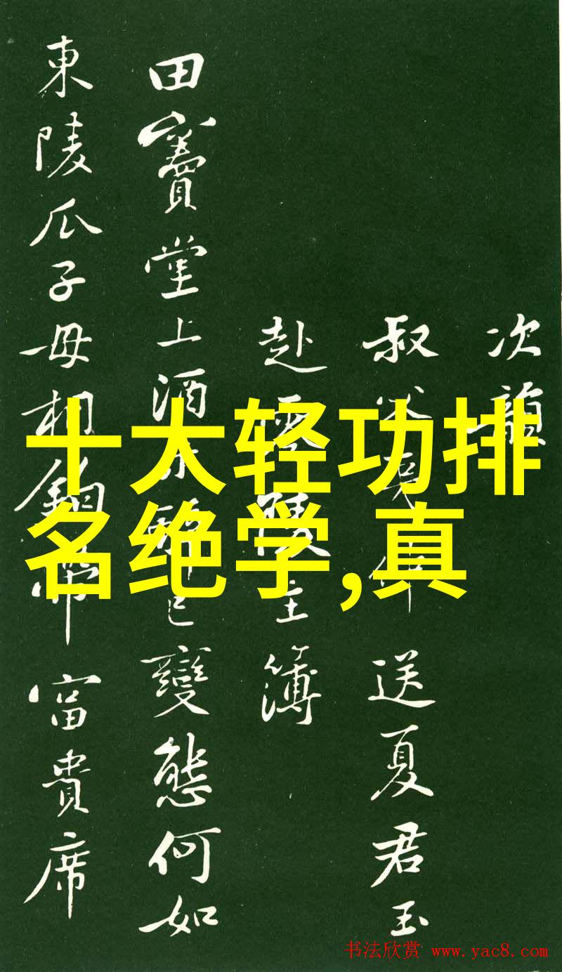 门派拳种宗岳太极拳揭秘江湖中最神秘的势力之谜