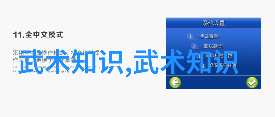 武林秘籍大全五行通背之魂中拳击破千古