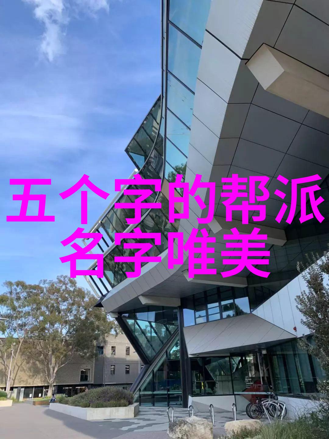 自学武功秘籍从零到大师的逆袭之旅