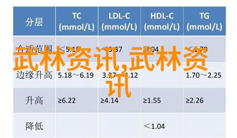 武林秘籍四川石棉洪门震撼的拳法与神秘的帮派故事