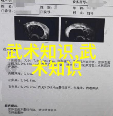 少儿散打武术青春的拳脚与智慧的结晶