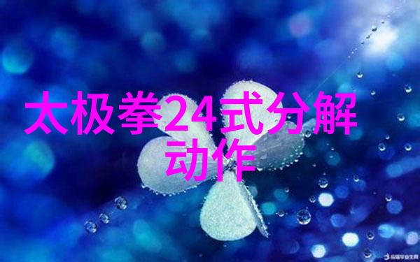 24式太极拳分解动作教学跟我一起学轻松掌握24式太极拳的每一个细节