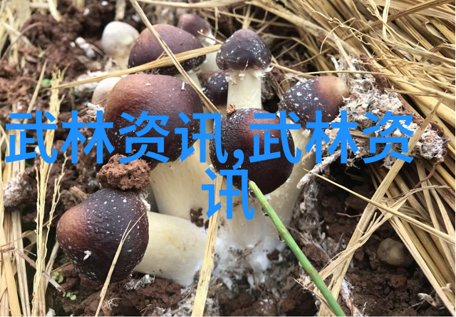 太极拳教程-精心分解24式太极拳动作详解与教学