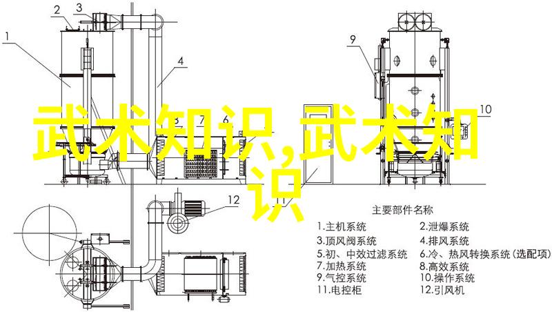 武术自学之道理论与实践的协同演进