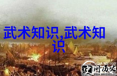 禁武时代揭秘一个无武术存在的网络世界