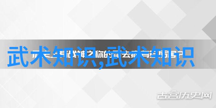 修炼之路从武者初学到剑道高手