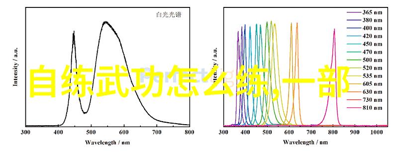 自学八极拳能成功吗(提升个人能力探索传统武术)