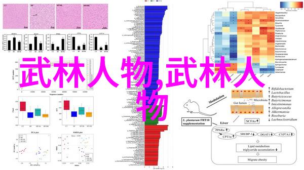 全国武术门派有哪些我这就告诉你一共有多少个