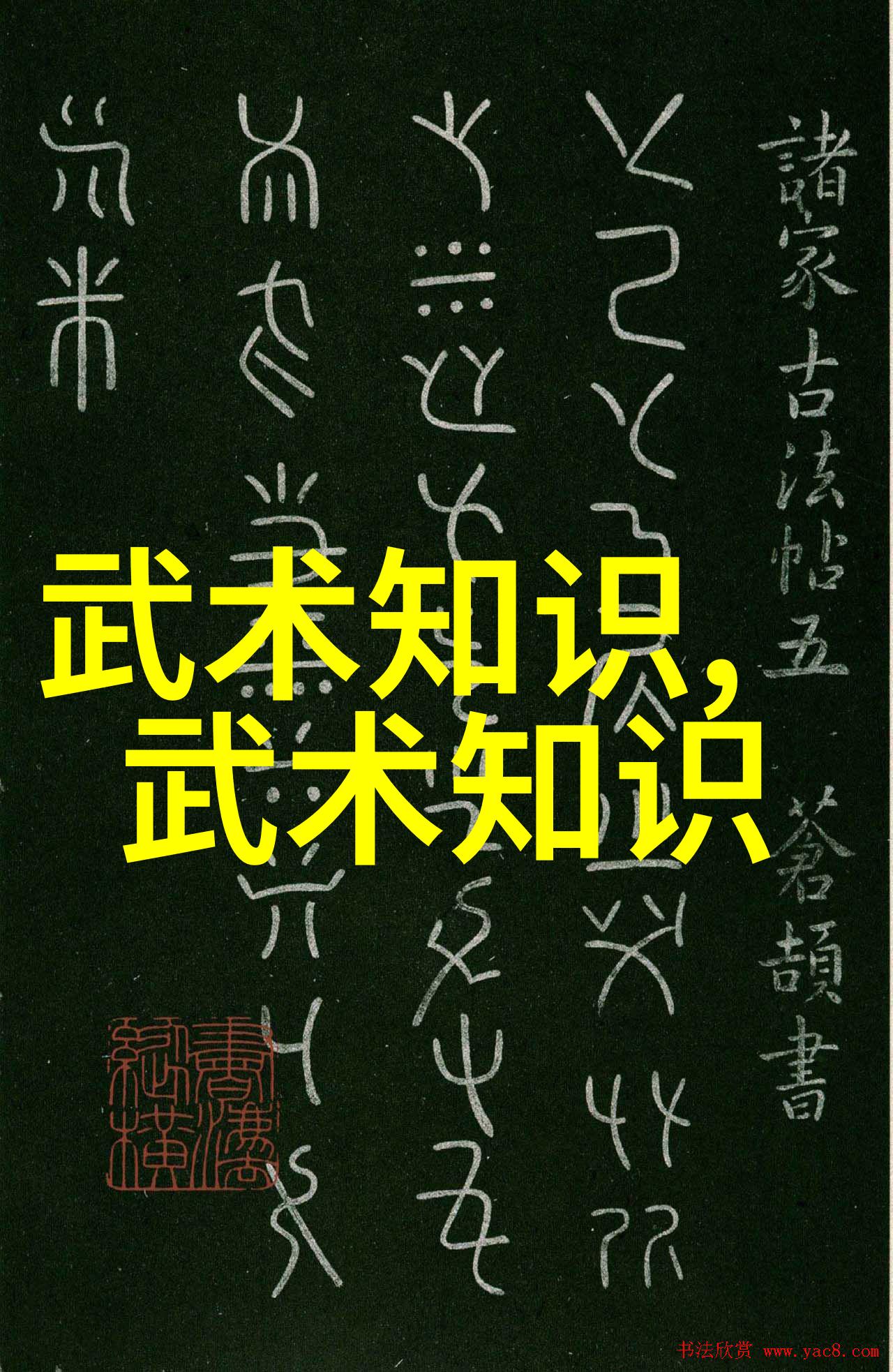 古代武功秘籍 - 剑谱与丹药揭秘江湖中的武学宝典