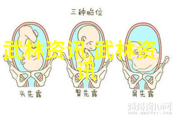 武林秘籍中的绝学之选揭秘招式大全带图的奥秘