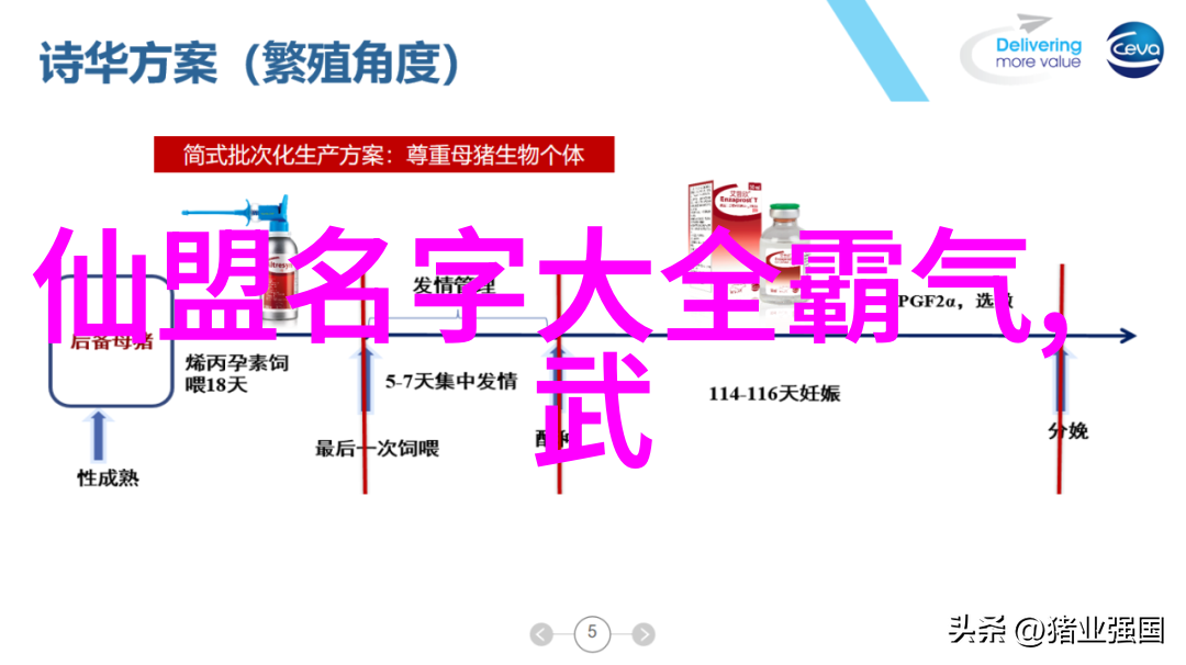 武林绝学有哪些新疆72式迷踪艺在社会中的应用与探索