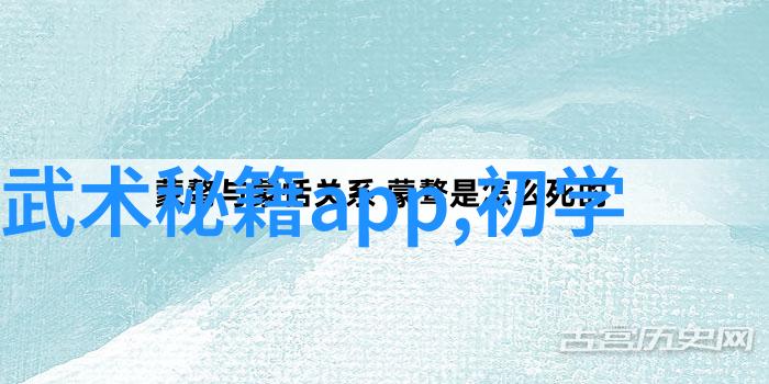 中国武术七大门派的秘密武器在雨城展开论剑揭示武林资讯新动态