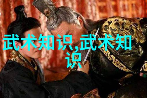 在八三年武术事件中内家拳之形意拳的气与力合又是何方