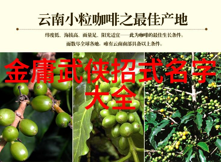 尹建秋唐茜与周勤慧在自然之中探索太极文化与古风剑法的融合